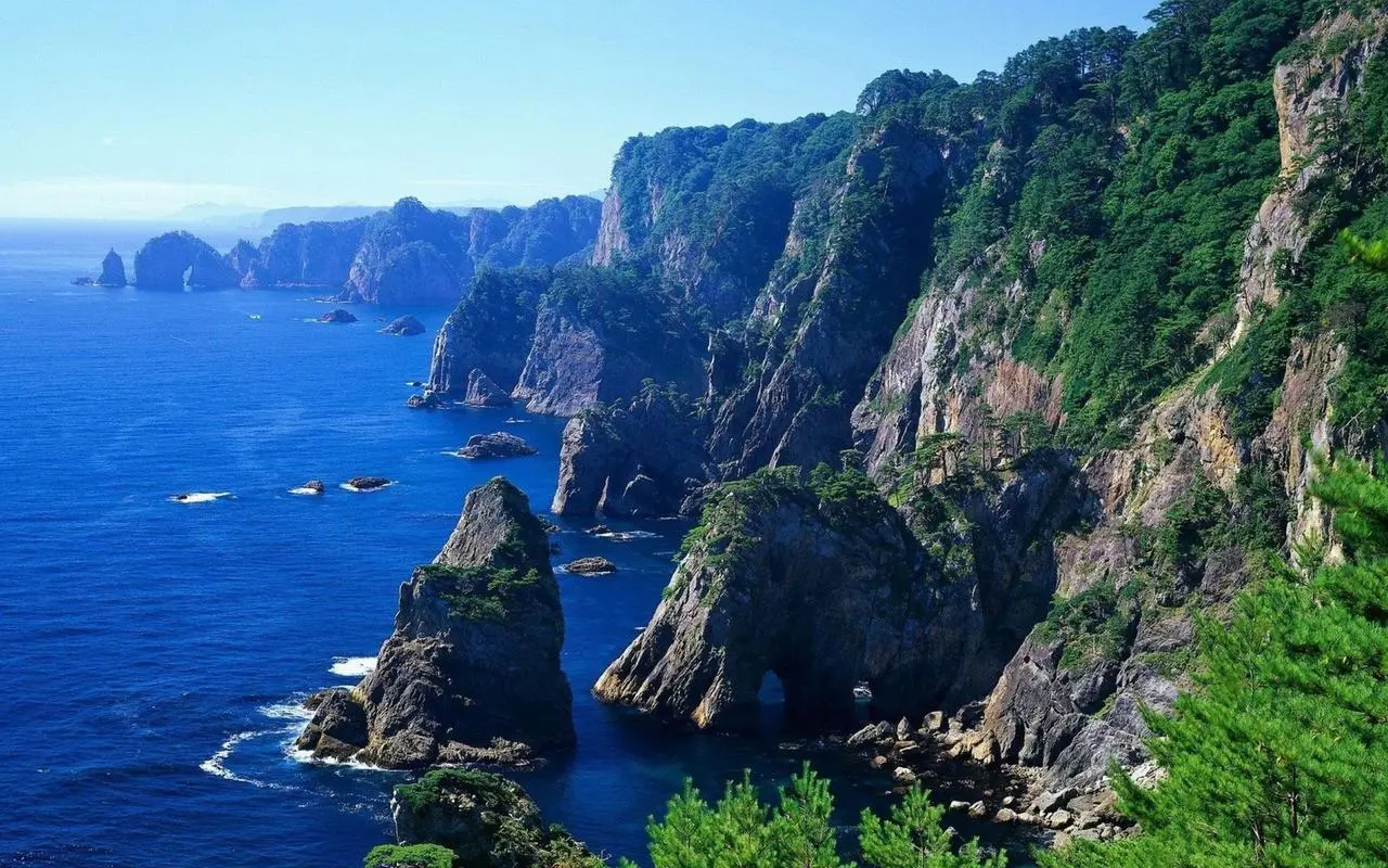全自动智能信息化